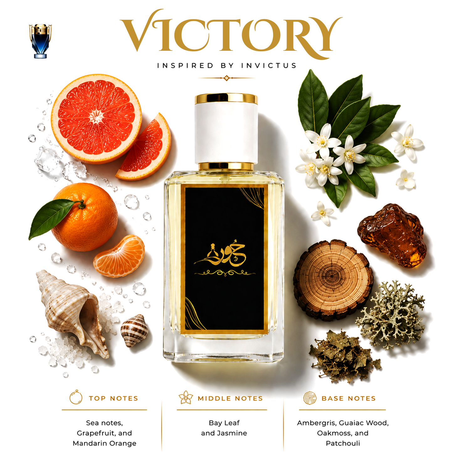 VICTORY - Inspired by Invictus